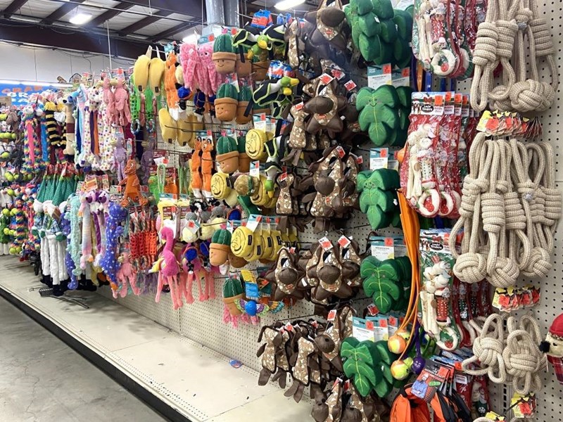 pet toys feb 925x694